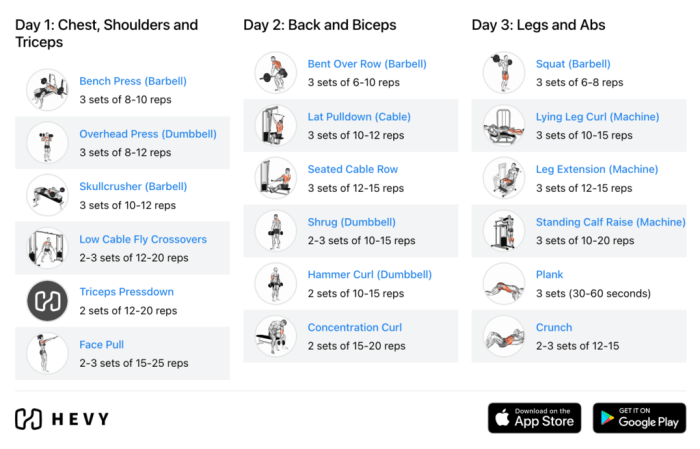 Upper Body Dumbbell Workout Routine At Home - Infoupdate.org 상체 운동 루틴