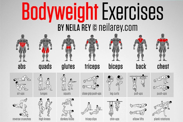 17+ Bodyweight Arms And Chest Workout Background - best arm and chest ... 최고의 맨몸 운동 루틴
