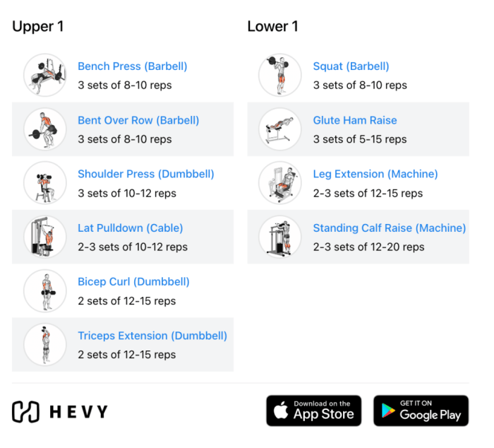 Daily Workout Routine For Upper Body Beginners - Infoupdate.org Daily Workout Routine For Upper Body Beginners - Infoupdate.org