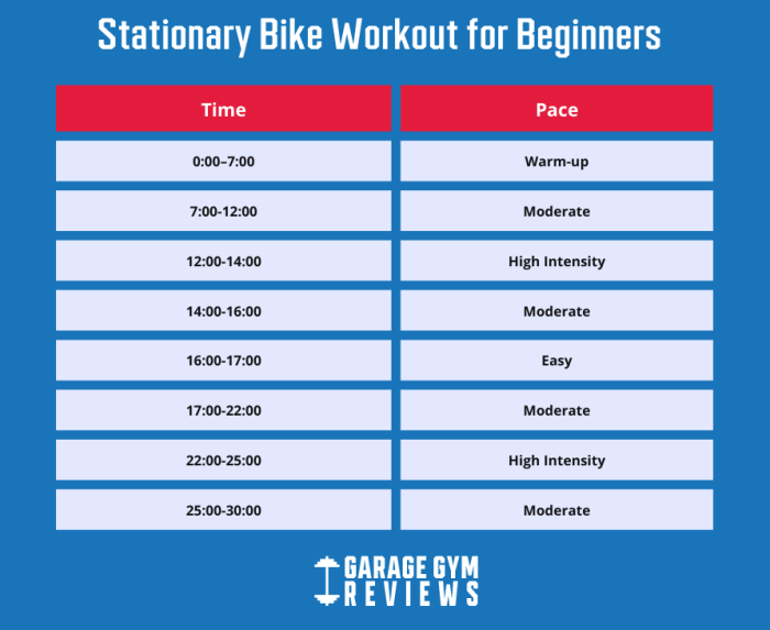 Beginner Exercise Routine Gym 헬스 입문자 루틴